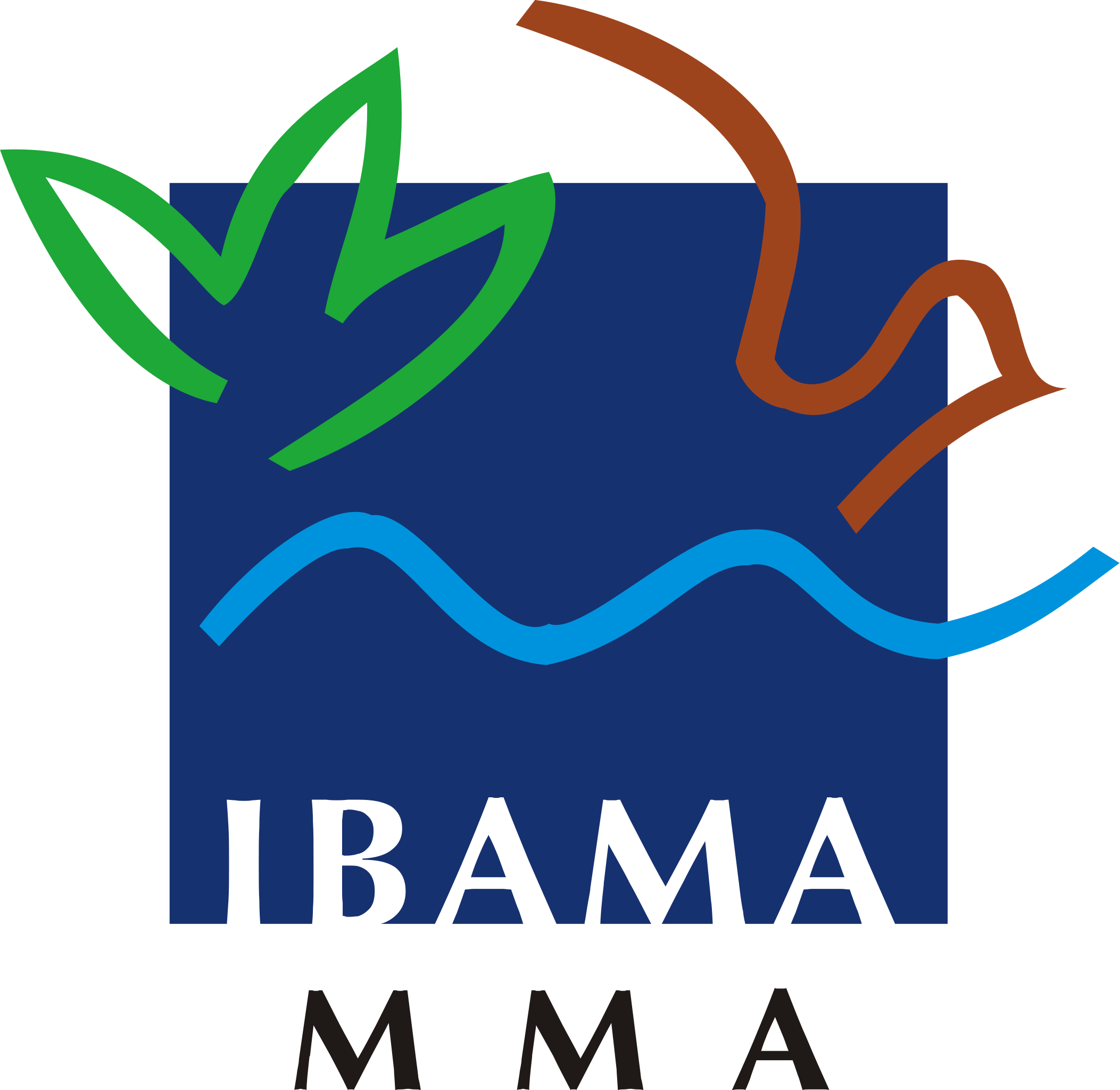 Instituto Brasileiro do Meio Ambiente e dos Recursos Naturais Renováveis